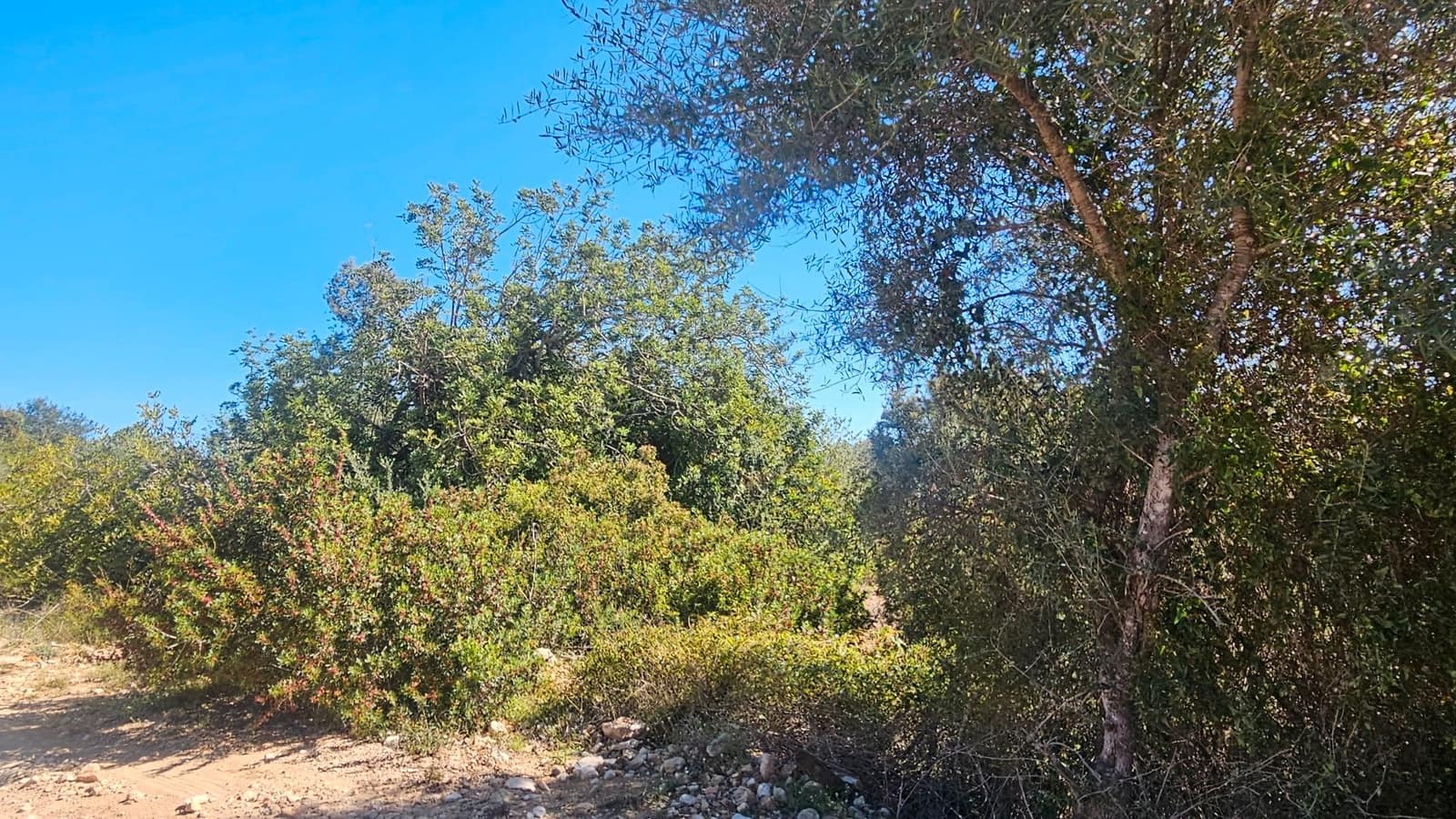 Maalaistalo myytävänä paikassa Cervera del Maestre / Cervera del Maestrat - 40 000 € (Ref: 7821898)