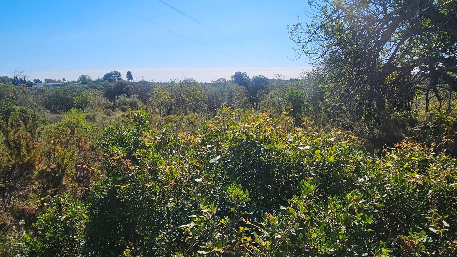 Maalaistalo myytävänä paikassa Cervera del Maestre / Cervera del Maestrat - 40 000 € (Ref: 7821898)