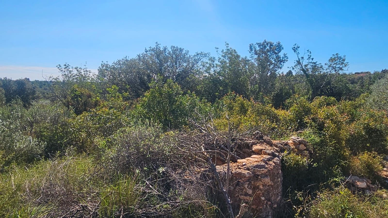 Maalaistalo myytävänä paikassa Cervera del Maestre / Cervera del Maestrat - 40 000 € (Ref: 7821898)