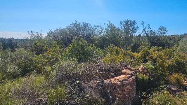 Finca/Country House for sale in Cervera del Maestre / Cervera del Maestrat - € 40,000 (Ref: 7821898)