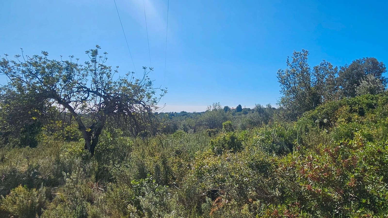 Maalaistalo myytävänä paikassa Cervera del Maestre / Cervera del Maestrat - 40 000 € (Ref: 7821898)