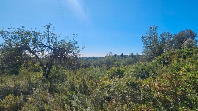 Finca/Country House for sale in Cervera del Maestre / Cervera del Maestrat - € 40,000 (Ref: 7821898)