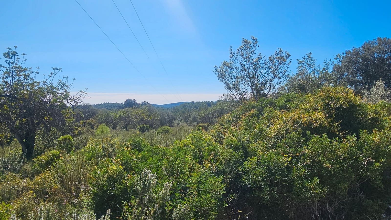 Maalaistalo myytävänä paikassa Cervera del Maestre / Cervera del Maestrat - 40 000 € (Ref: 7821898)