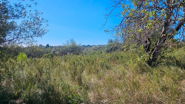 Finca/Country House for sale in Cervera del Maestre / Cervera del Maestrat - € 40,000 (Ref: 7821898)