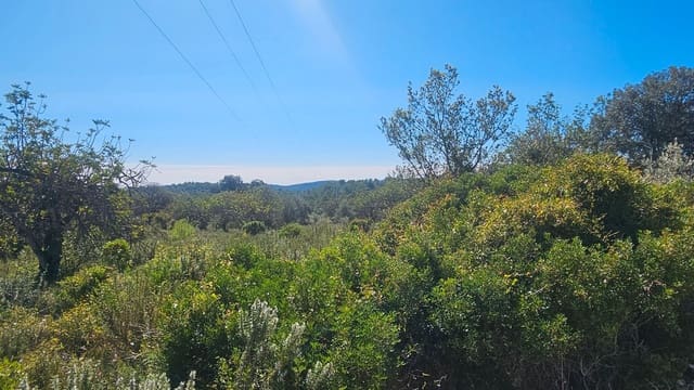 Finca/Country House for sale in Cervera del Maestre / Cervera del Maestrat - € 40,000 (Ref: 7821898)