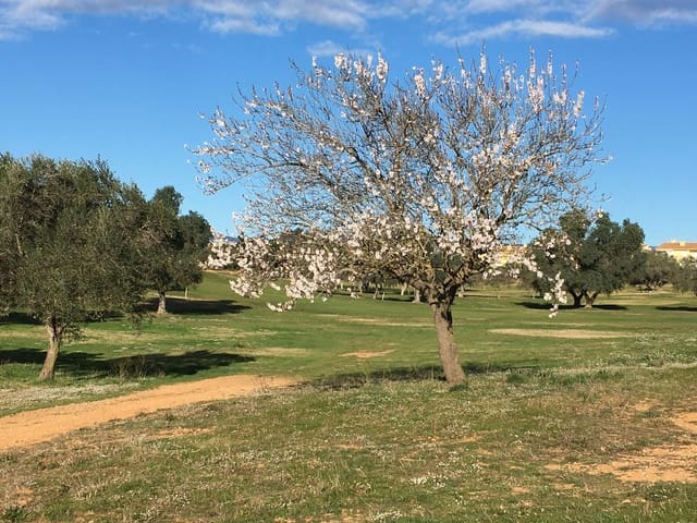 Building Plot for sale in Sant Jordi - € 120,000 (Ref: 8456165)