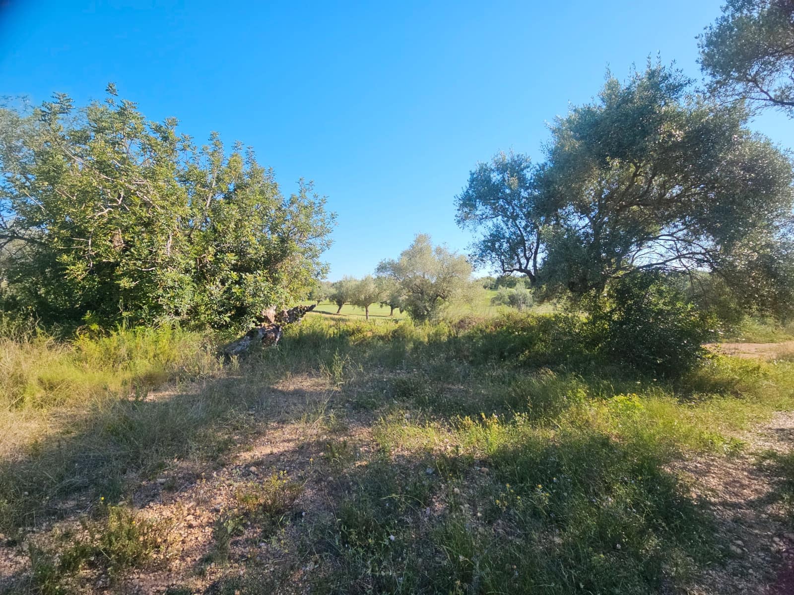 Byggegrund til salg i Sant Jordi - € 120.000 (Ref: 8456165)