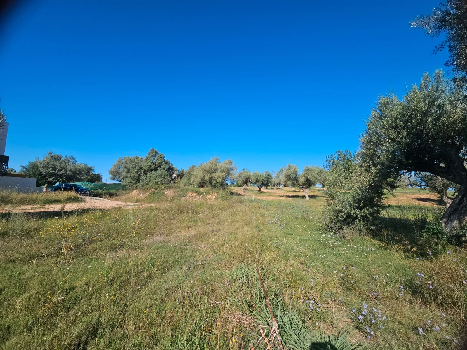 Byggegrund til salg i Sant Jordi - € 120.000 (Ref: 8456165)