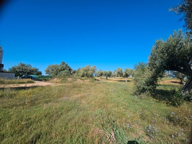 Building Plot for sale in Sant Jordi - € 120,000 (Ref: 8456165)
