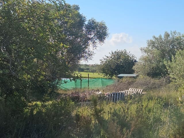 Building Plot for sale in Sant Jordi - € 120,000 (Ref: 8456165)