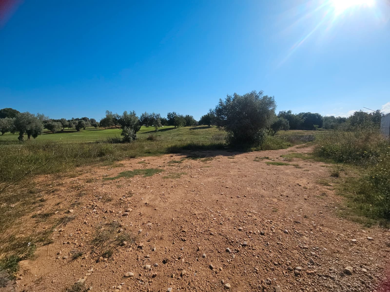 Byggegrund til salg i Sant Jordi - € 72.000 (Ref: 8456166)