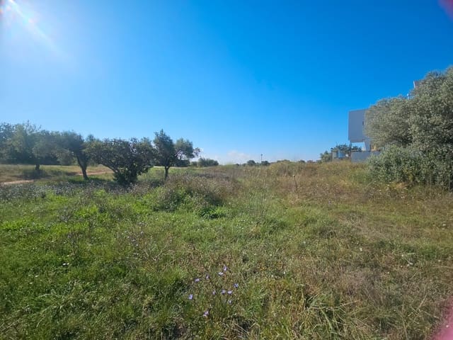 Building Plot for sale in Sant Jordi - € 72,000 (Ref: 8456166)