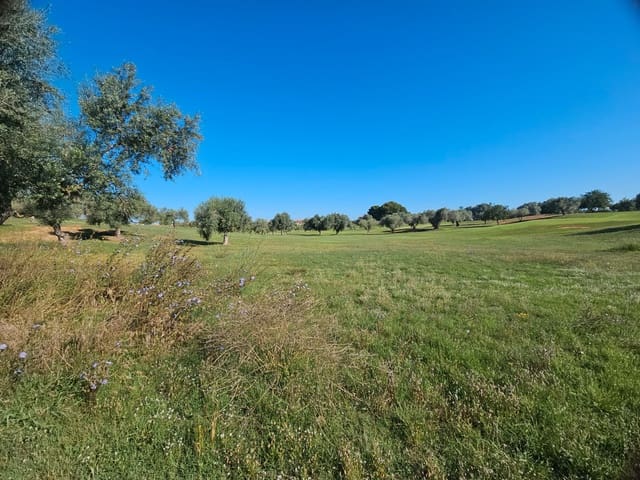 Building Plot for sale in Sant Jordi - € 72,000 (Ref: 8456166)