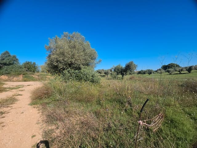 Building Plot for sale in Sant Jordi - € 72,000 (Ref: 8456166)