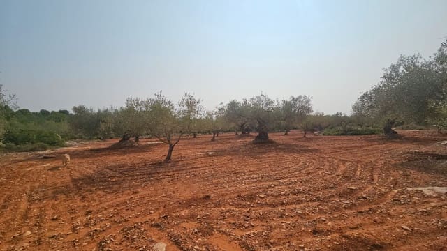 4 bedroom Finca/Country House for sale in Càlig - € 195,000 (Ref: 8480022)