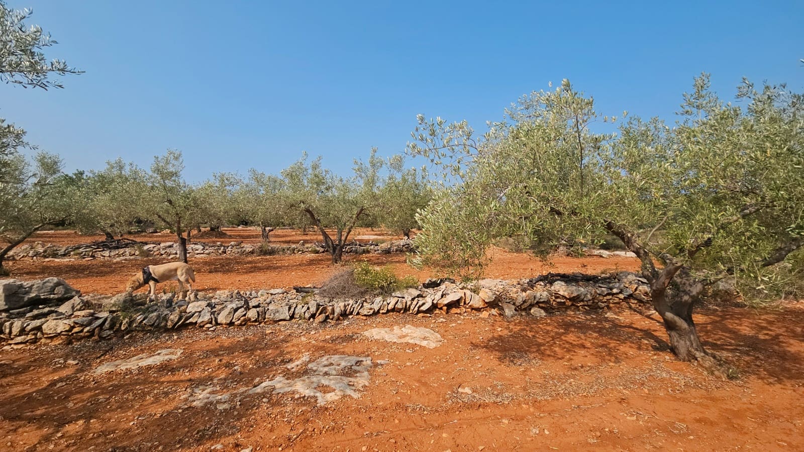 4 soverom Finca/Herregård til salgs i Calig - € 195 000 (Ref: 8480022)