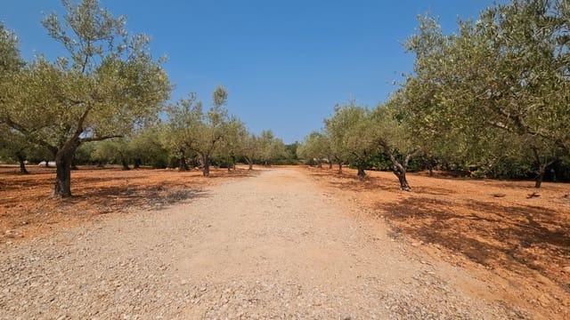 4 bedroom Finca/Country House for sale in Càlig - € 195,000 (Ref: 8480022)