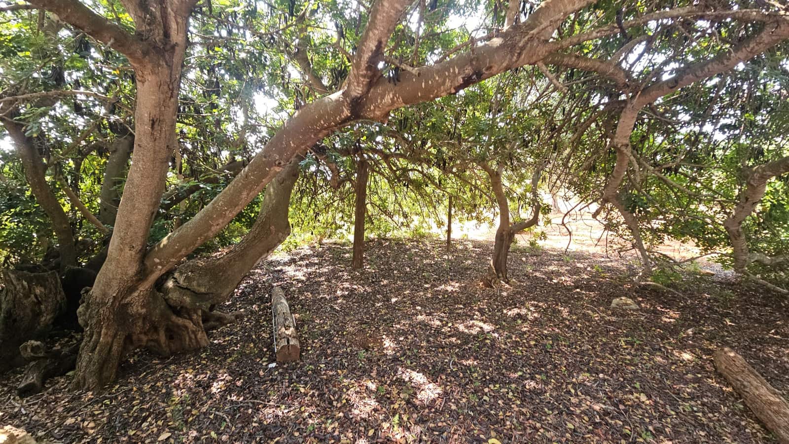 4 soverom Finca/Herregård til salgs i Calig - € 195 000 (Ref: 8480022)