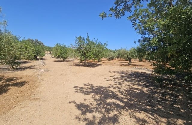 Finca/Landgut zu verkaufen in Cervera del Maestre / Cervera del Maestrat - 89.000 € (Ref: 8493066)