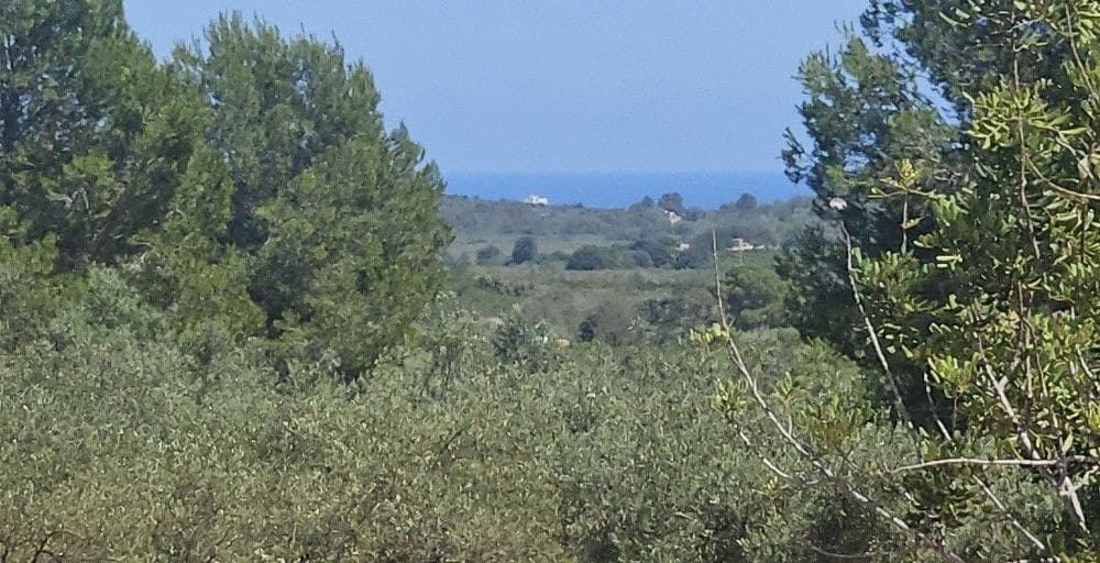 Finca/Landgut zu verkaufen in Cervera del Maestre / Cervera del Maestrat - 89.000 € (Ref: 8493066)