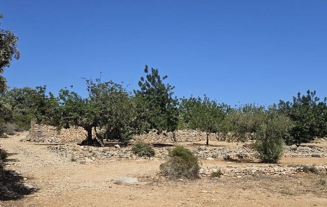Finca/Landgut zu verkaufen in Cervera del Maestre / Cervera del Maestrat - 89.000 € (Ref: 8493066)
