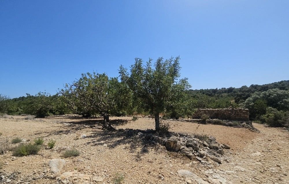 Finca/Landgut zu verkaufen in Cervera del Maestre / Cervera del Maestrat - 89.000 € (Ref: 8493066)