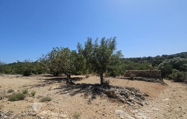 Finca/Landgut zu verkaufen in Cervera del Maestre / Cervera del Maestrat - 89.000 € (Ref: 8493066)