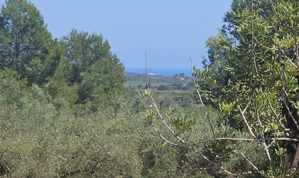 Finca/Landgut zu verkaufen in Cervera del Maestre / Cervera del Maestrat - 89.000 € (Ref: 8493066)