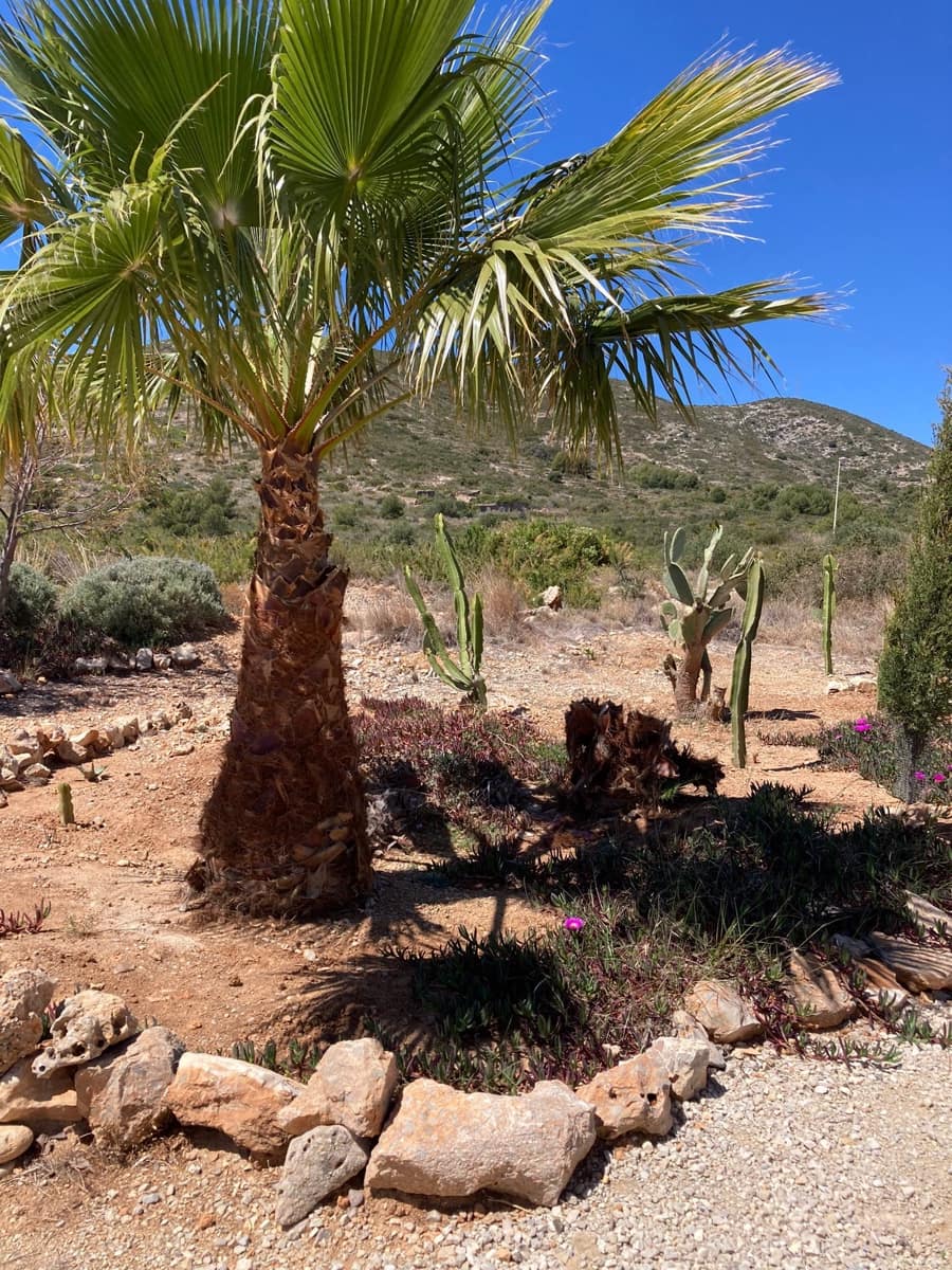 2 bedroom Semi-detached Villa for sale in Peniscola with garage - € 295,000 (Ref: 8493067)