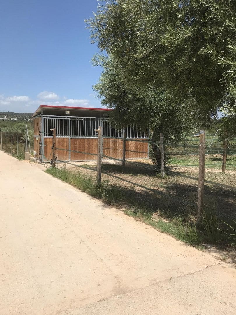 4 soveværelse Finca/Landehus til salg i Sant Jordi med swimmingpool garage - € 460.000 (Ref: 8723397)