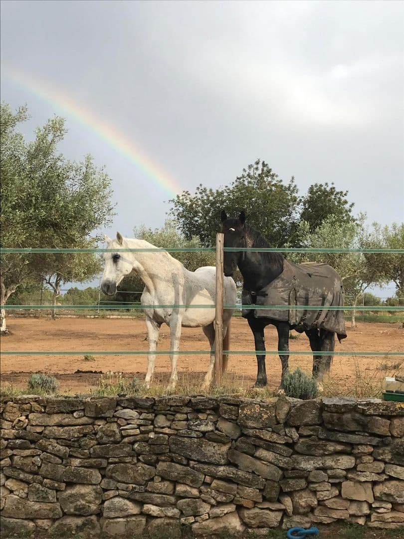 4 soveværelse Finca/Landehus til salg i Sant Jordi med swimmingpool garage - € 460.000 (Ref: 8723397)