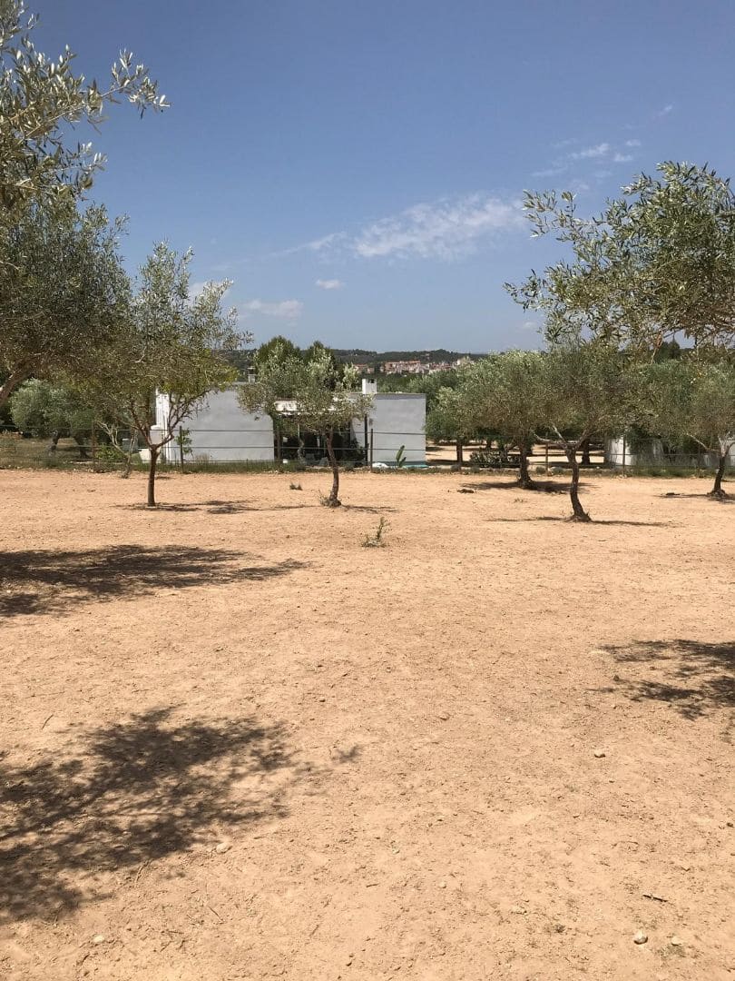 4 soveværelse Finca/Landehus til salg i Sant Jordi med swimmingpool garage - € 460.000 (Ref: 8723397)