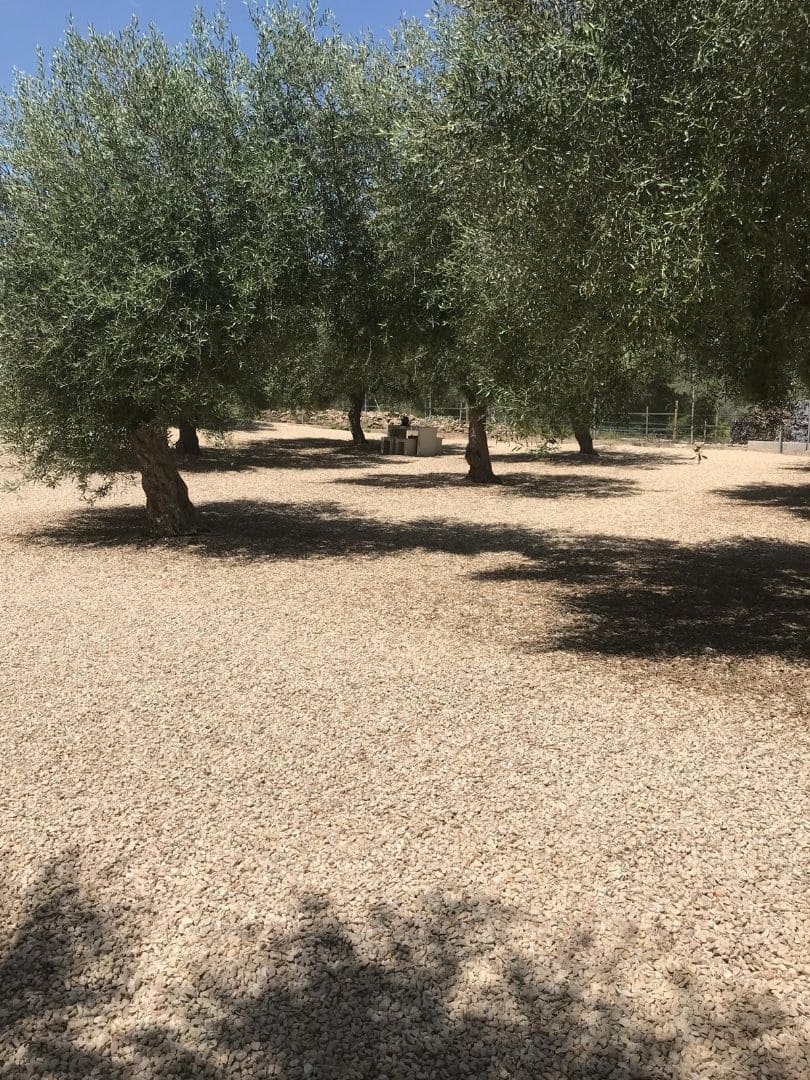 4 soveværelse Finca/Landehus til salg i Sant Jordi med swimmingpool garage - € 460.000 (Ref: 8723397)