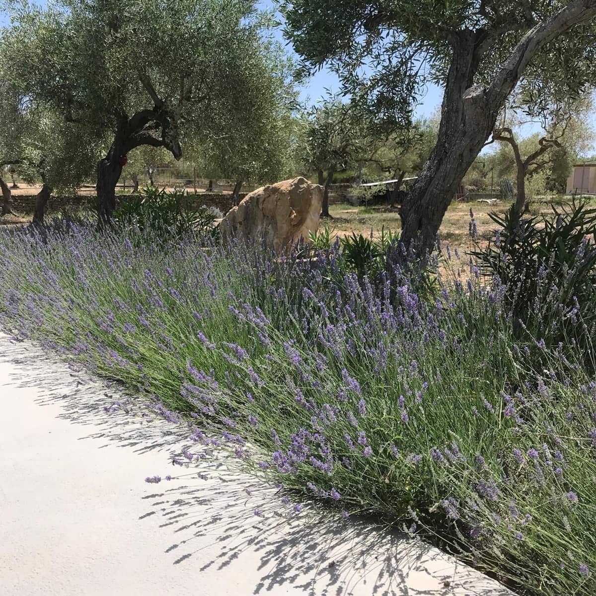 4 soveværelse Finca/Landehus til salg i Sant Jordi med swimmingpool garage - € 460.000 (Ref: 8723397)