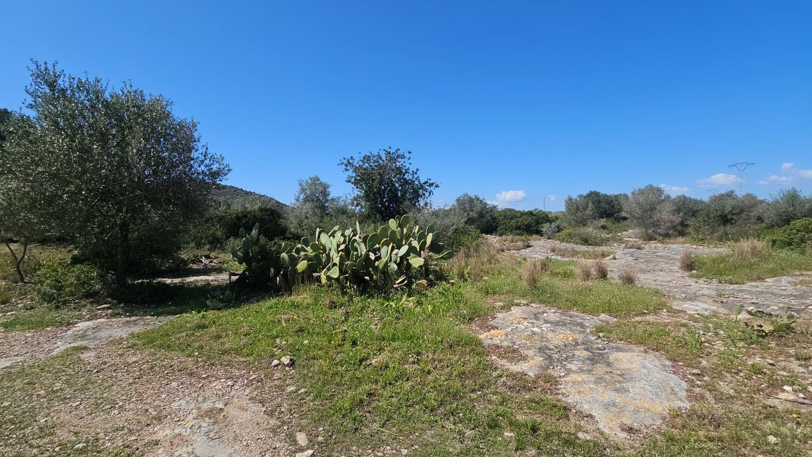 Finca/Country House for sale in Vinaros - € 65,000 (Ref: 8939111)