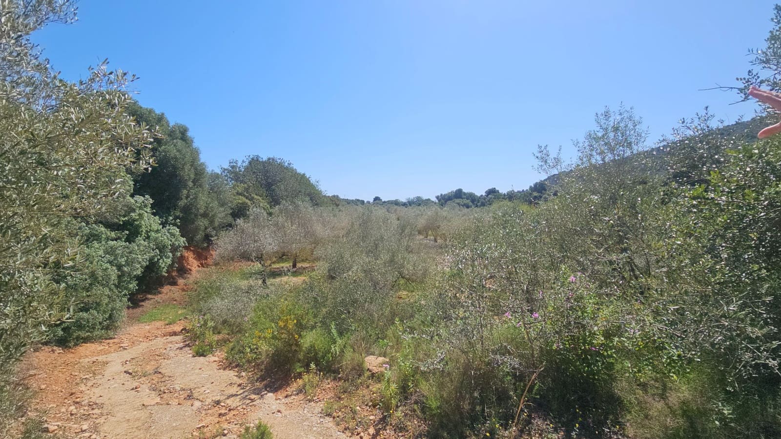 Finca/Country House for sale in Vinaros - € 65,000 (Ref: 8939111)