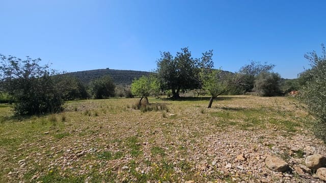 Finca/Country House for sale in Vinaròs - € 65,000 (Ref: 8939111)