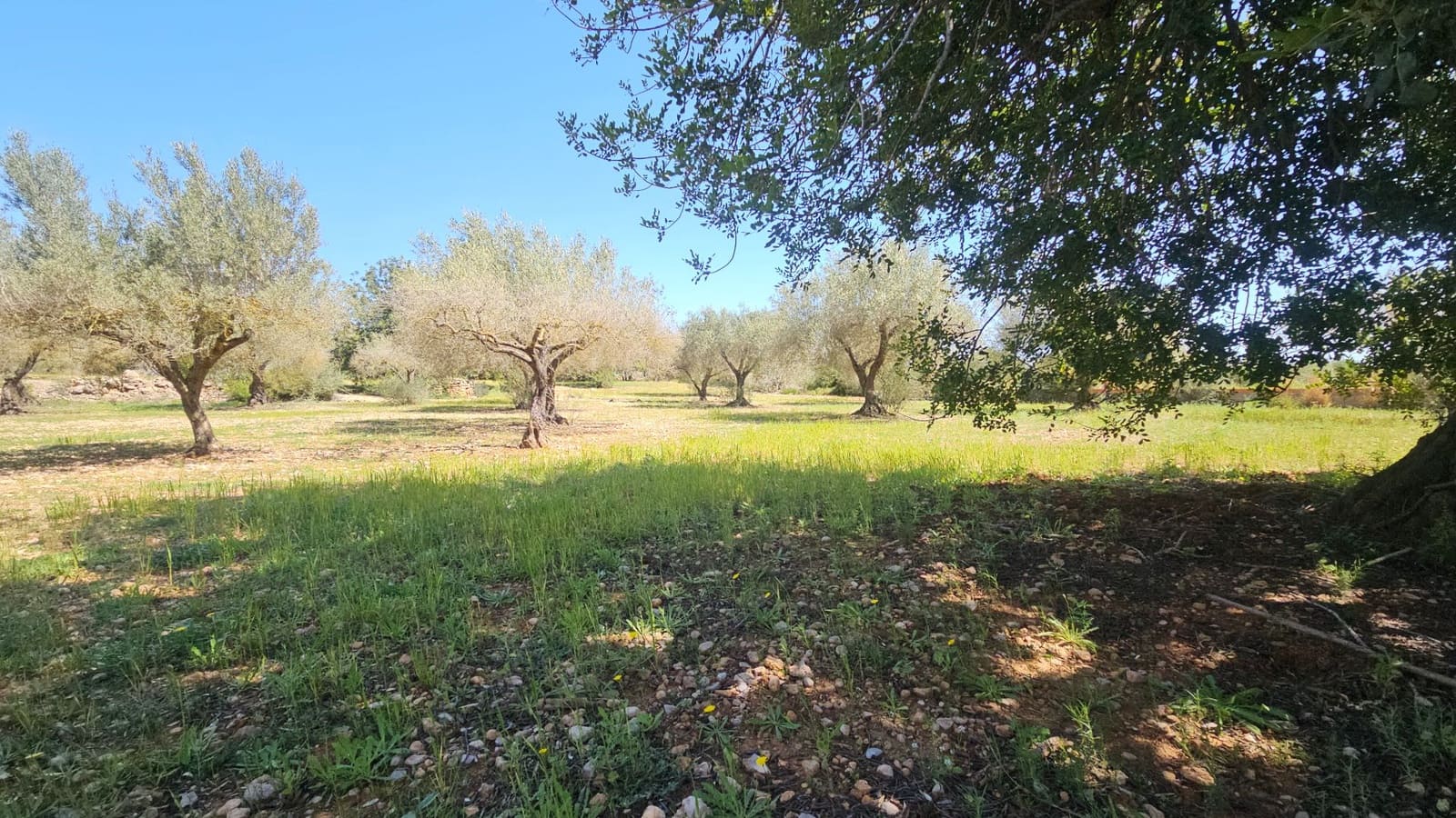 Finca/Country House for sale in Vinaros - € 65,000 (Ref: 8939111)