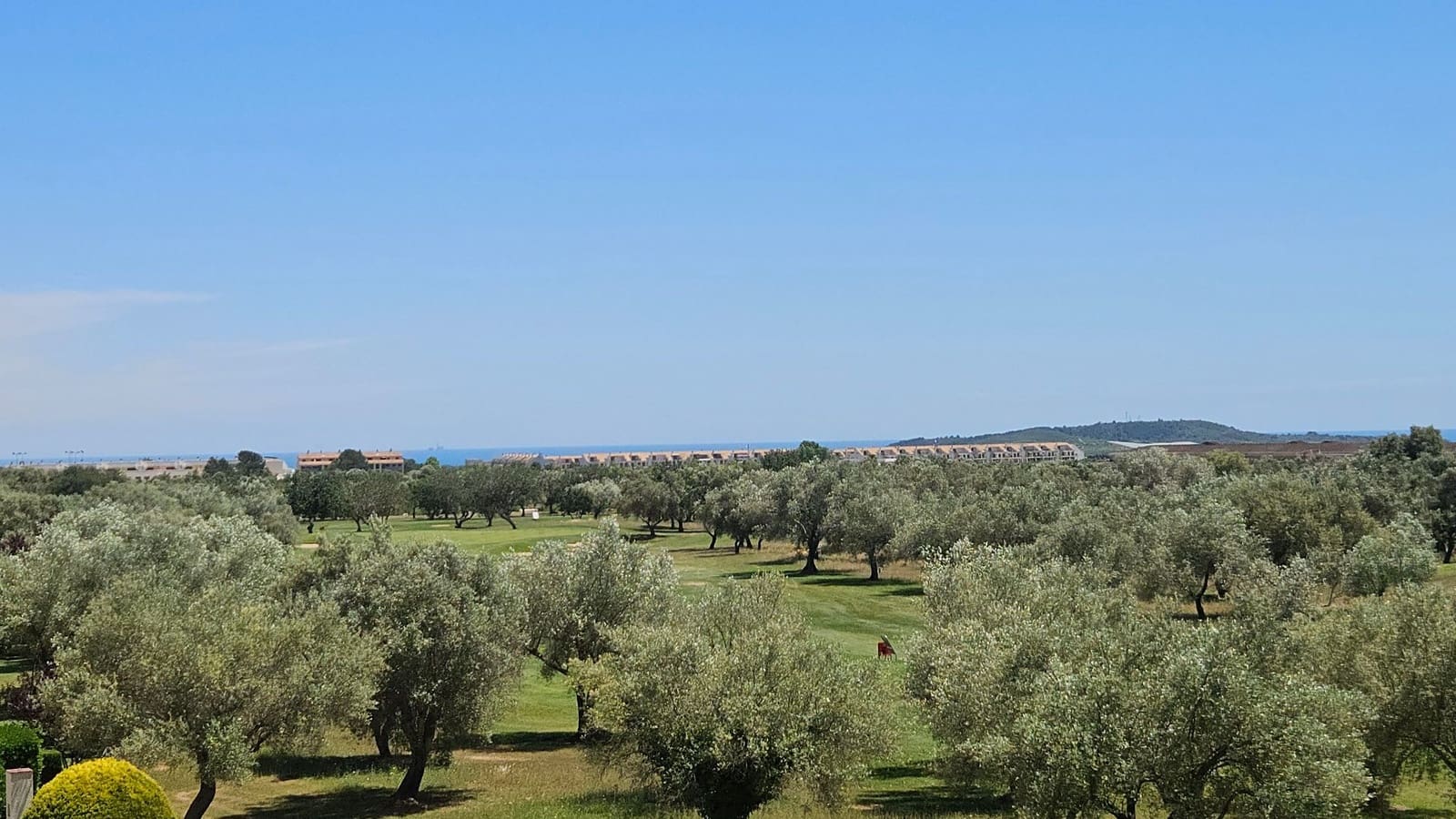 2 soveværelse Penthouse til salg i Sant Jordi med swimmingpool - € 299.000 (Ref: 9012946)