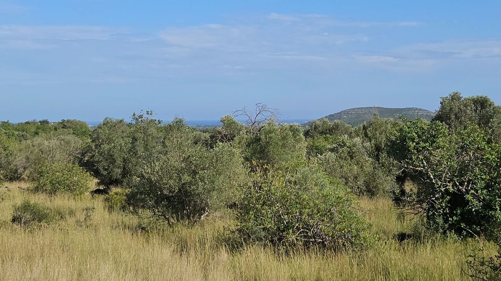 Finca/Landehus til salg i Calig - € 180.000 (Ref: 9022573)