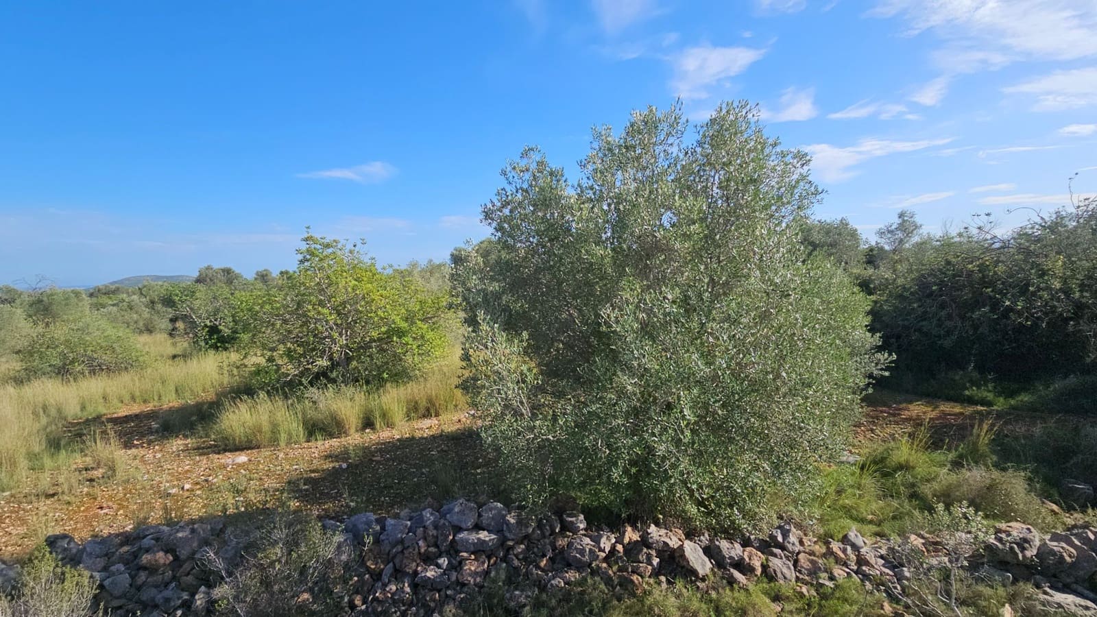Finca/Landehus til salg i Calig - € 180.000 (Ref: 9022573)