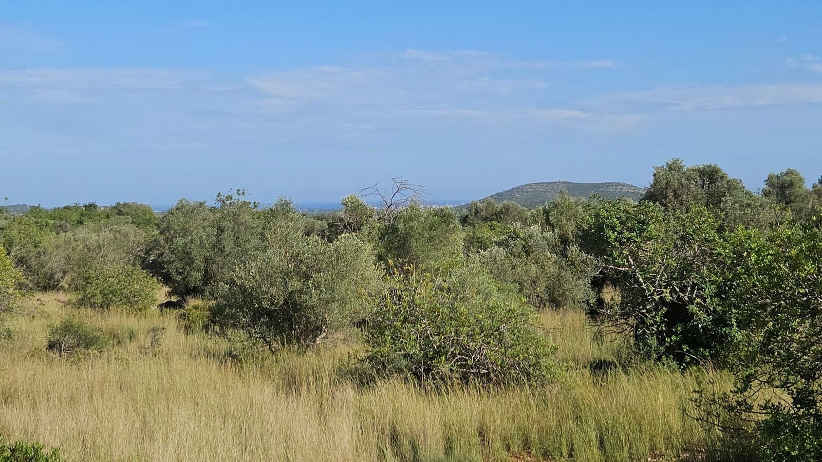 Finca/Landehus til salg i Calig - € 180.000 (Ref: 9022573)