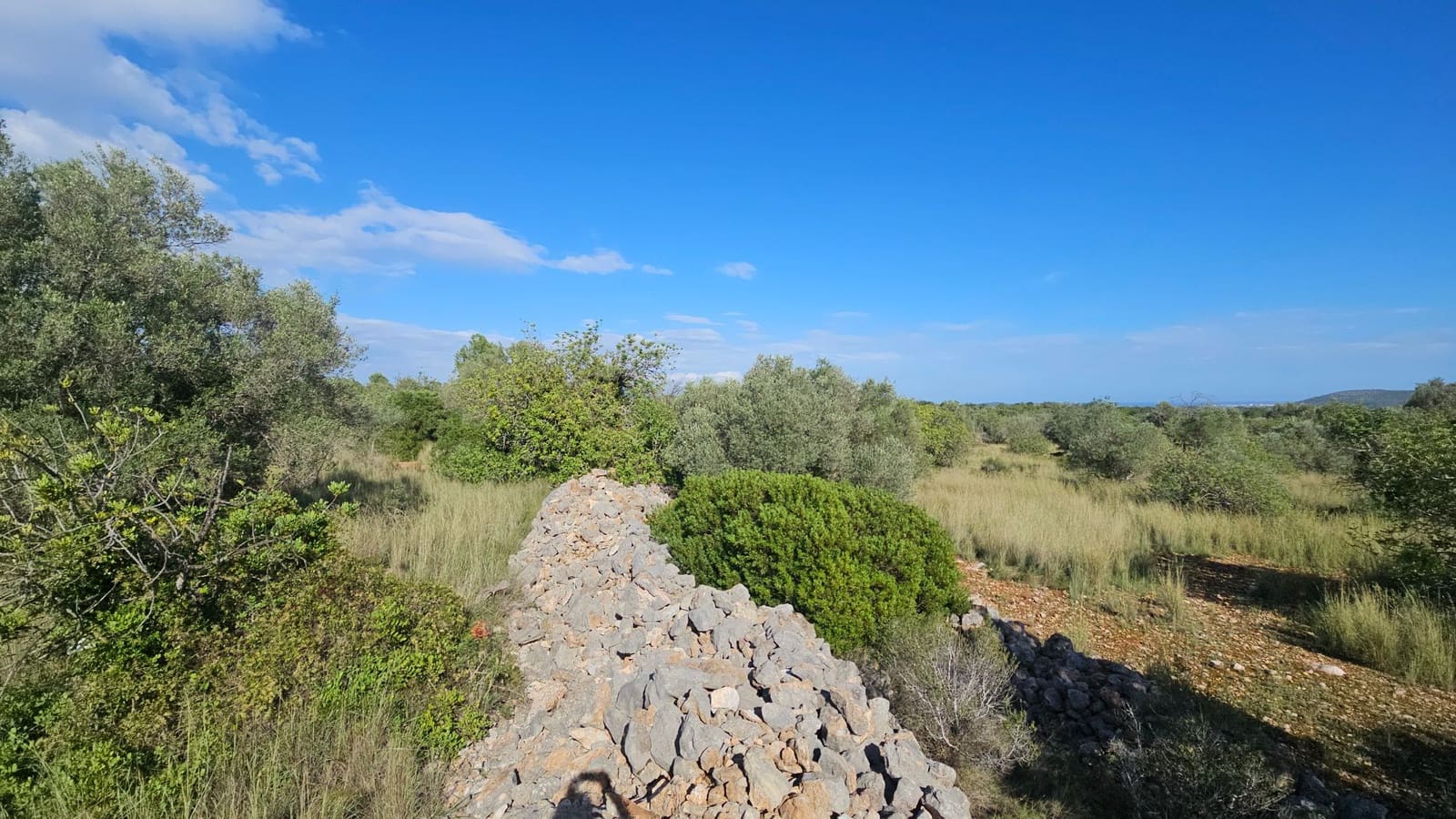 Finca/Landehus til salg i Calig - € 180.000 (Ref: 9022573)