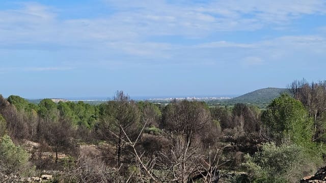 Finca/Country House for sale in Càlig - € 180,000 (Ref: 9022573)