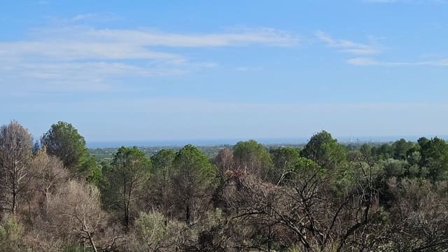 Finca/Country House for sale in Càlig - € 180,000 (Ref: 9022573)