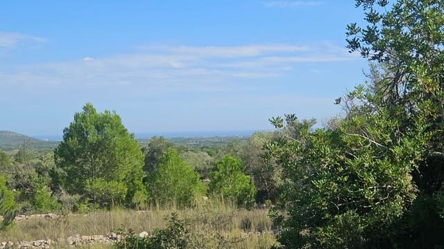 Finca/Country House for sale in Càlig - € 180,000 (Ref: 9022573)