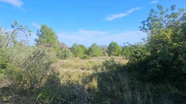 Finca/Country House for sale in Càlig - € 180,000 (Ref: 9022573)