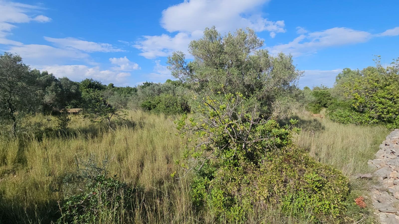 Finca/Landehus til salg i Calig - € 180.000 (Ref: 9022573)