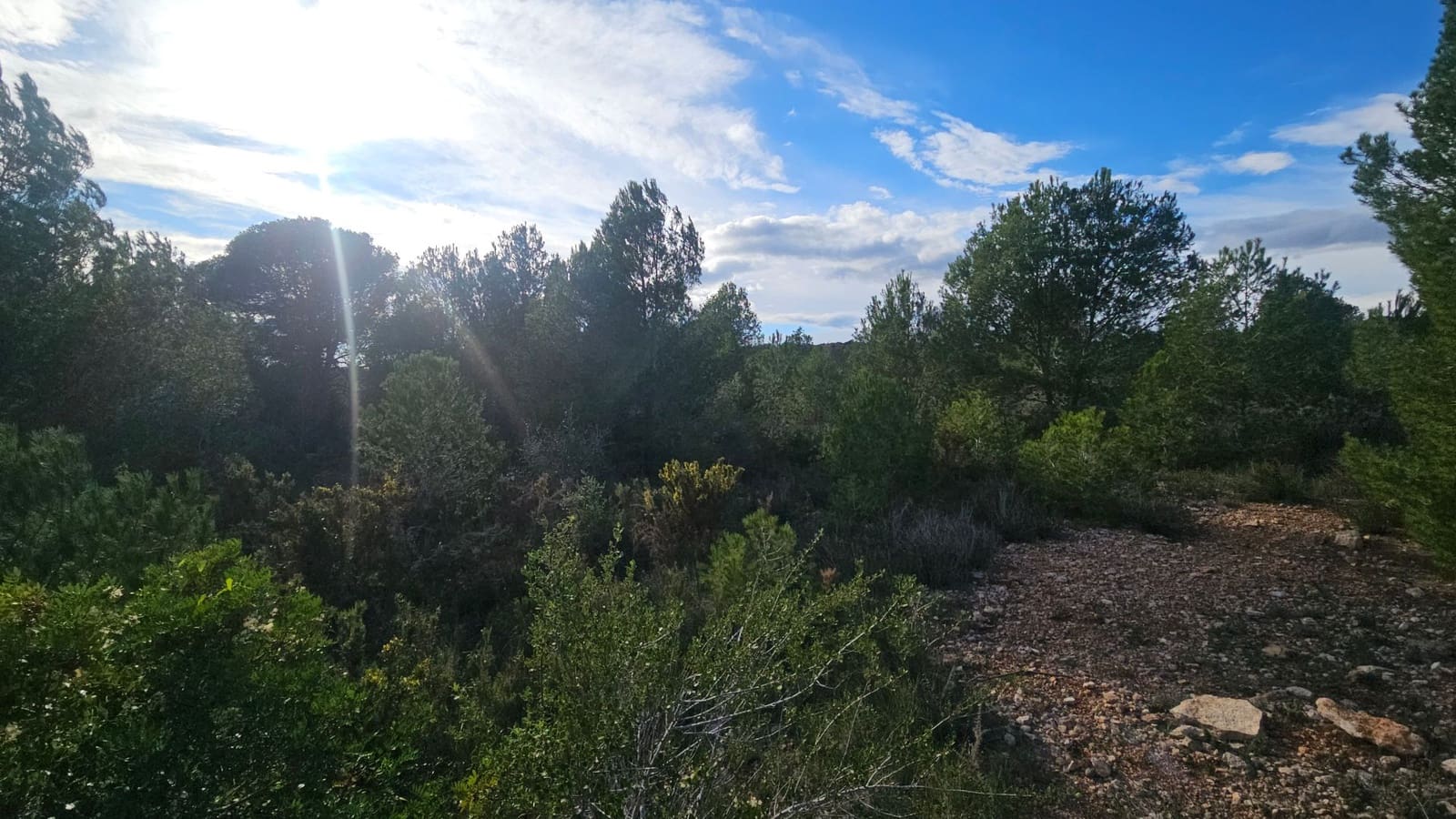 Finca/Landehus til salg i Calig - € 180.000 (Ref: 9022573)