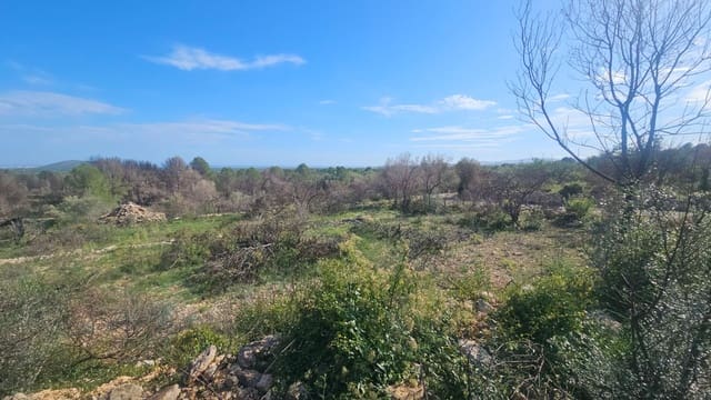 Finca/Country House for sale in Càlig - € 180,000 (Ref: 9022573)